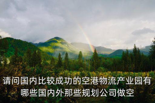 請問國內比較成功的空港物流產業園有哪些國內外那些規劃公司做空
