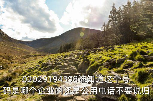 02029194398誰知道這個號碼是哪個企業的還是公用電話不要說歸