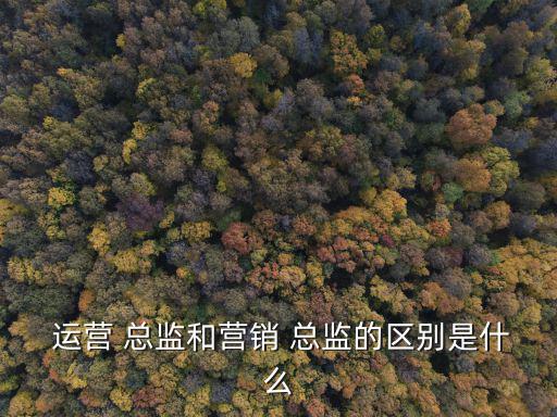  運營 總監和營銷 總監的區別是什么