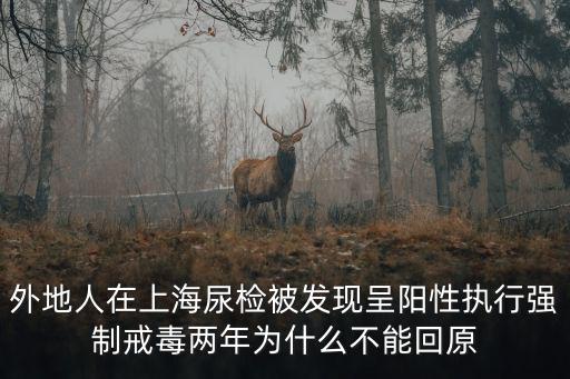 上海陽性總人數是強制運走的嗎，截至2011年末上海戶籍人口總數為141936萬人比上年末增長0