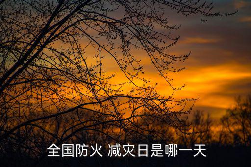  全國防火 減災日是哪一天