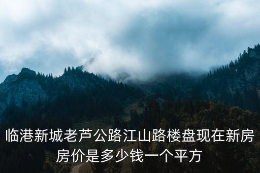 臨港新城老蘆公路江山路樓盤現(xiàn)在新房房價是多少錢一個平方