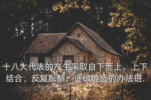 十八大代表的產(chǎn)生采取自下而上、上下結(jié)合、反復(fù)醞釀、逐級(jí)遴選的辦法進(jìn)...