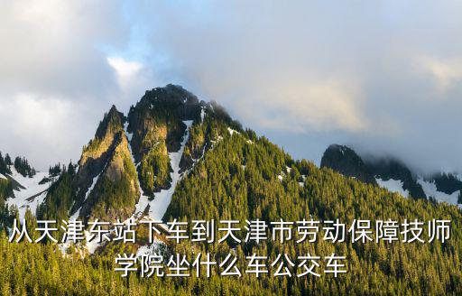 從天津東站下車到天津市勞動保障技師學院坐什么車公交車