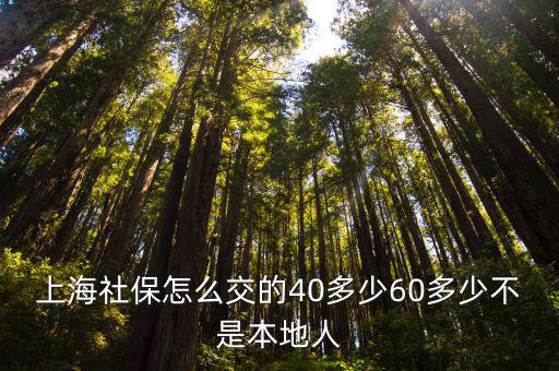 上海社保怎么交的40多少60多少不是本地人