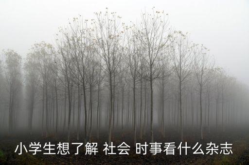 小學生想了解 社會 時事看什么雜志