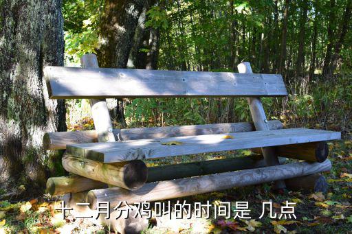 十二月分雞叫的時間是 幾點