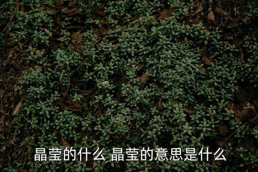 晶瑩的什么 晶瑩的意思是什么