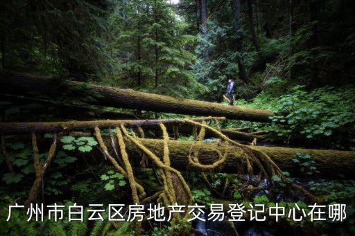 廣州市白云區在售房產，廣州市白云區房地產交易登記中心在哪