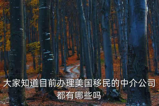 大家知道目前辦理美國移民的中介公司都有哪些嗎