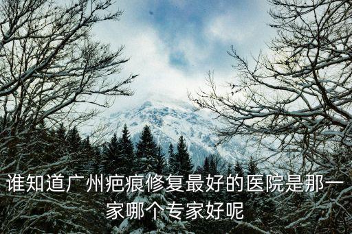 誰知道廣州疤痕修復最好的醫院是那一家哪個專家好呢