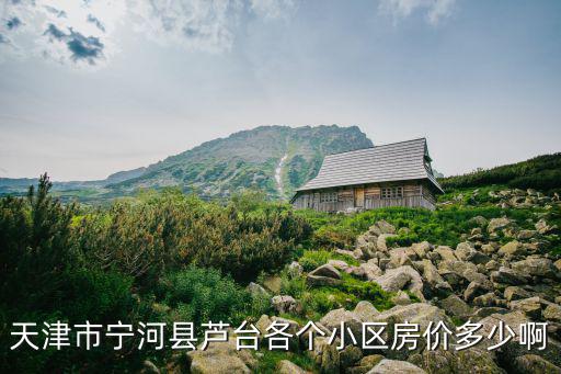 天津市寧河縣蘆臺各個小區房價多少啊