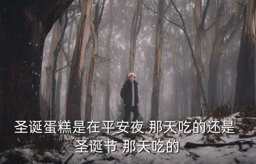 圣誕蛋糕是在平安夜 那天吃的還是 圣誕節 那天吃的