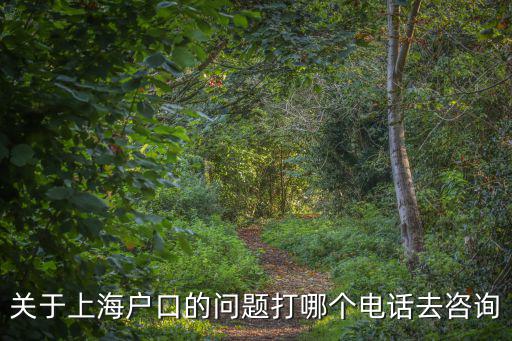 關于上海戶口的問題打哪個電話去咨詢