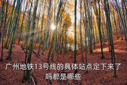 中鐵一局廣州地鐵13號線，廣州地鐵13號線的列車