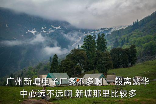 廣州新塘電子廠多不多啊 一般離繁華中心遠不遠啊 新塘那里比較多