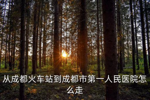 從成都火車站到成都市第一人民醫(yī)院怎么走
