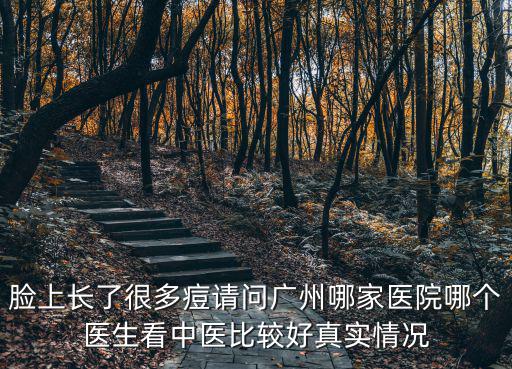 臉上長了很多痘請問廣州哪家醫院哪個醫生看中醫比較好真實情況