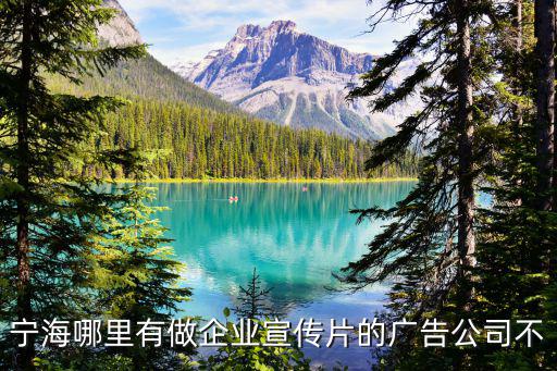 寧海哪里有做企業(yè)宣傳片的廣告公司不