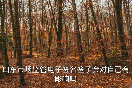 山東市場監管電子簽名簽了會對自己有影響嗎
