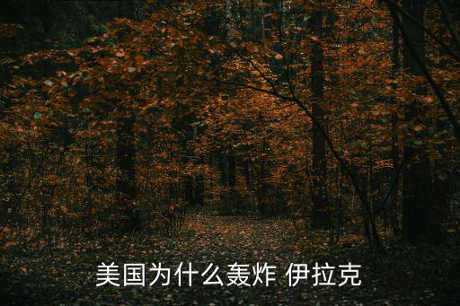 美國(guó)為什么轟炸 伊拉克