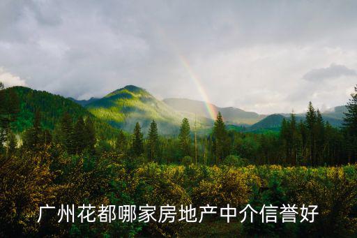 廣州花都哪家房地產中介信譽好