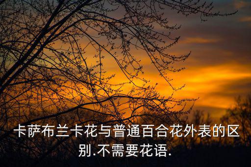  卡薩布蘭卡花與普通百合花外表的區別.不需要花語.