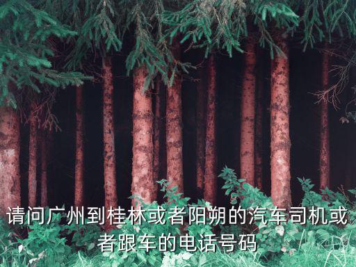 請問廣州到桂林或者陽朔的汽車司機或者跟車的電話號碼