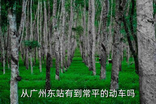 從廣州東站有到常平的動車嗎