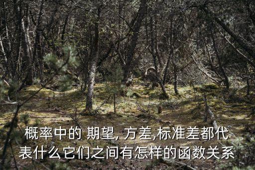 概率中的 期望, 方差,標準差都代表什么它們之間有怎樣的函數關系