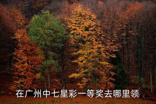 在廣州中七星彩一等獎(jiǎng)去哪里領(lǐng)