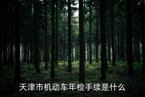 天津市機(jī)動(dòng)車年檢手續(xù)是什么