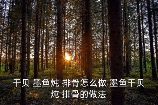 干貝 墨魚燉 排骨怎么做 墨魚干貝燉 排骨的做法