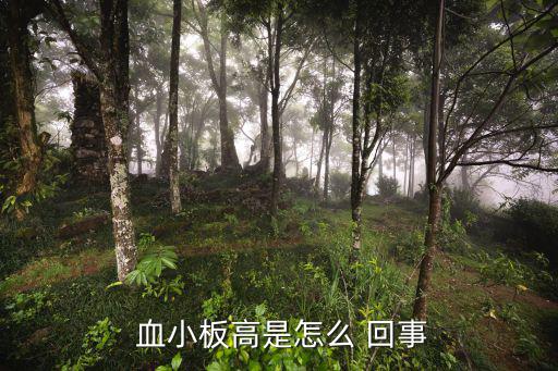  血小板高是怎么 回事