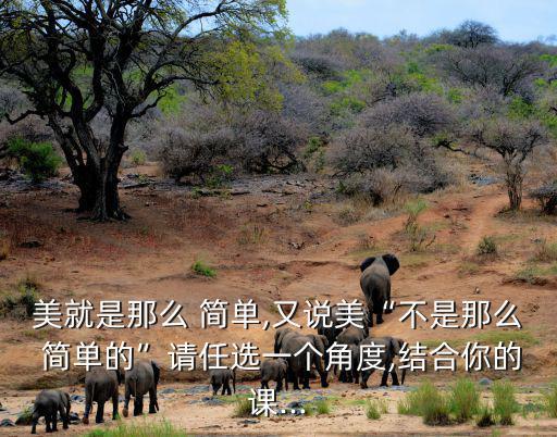 美就是那么 簡單,又說美“不是那么 簡單的”請任選一個角度,結合你的課...