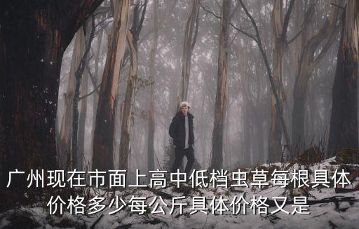 廣州現在市面上高中低檔蟲草每根具體價格多少每公斤具體價格又是