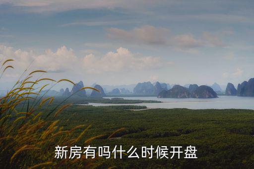 新房有嗎什么時(shí)候開(kāi)盤(pán)