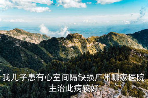 我兒子患有心室間隔缺損廣州哪家醫院主治此病較好