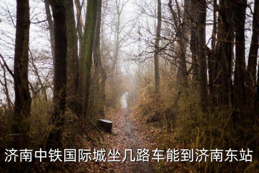 濟(jì)南中鐵國際城坐幾路車能到濟(jì)南東站