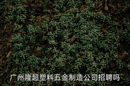 廣州隆超塑料五金制造公司招聘嗎