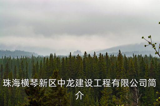 珠海橫琴新區中龍建設工程有限公司簡介