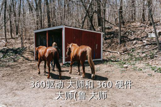  360驅動 大師和 360 硬件 大師(魯 大師