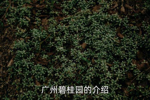 廣州從化市御湖城碧桂園，廣州碧桂園位置在哪