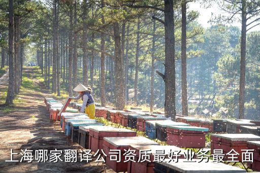 上海哪家翻譯公司資質最好業務最全面