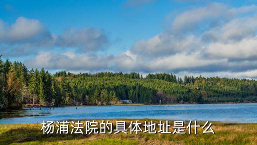 楊浦法院的具體地址是什么