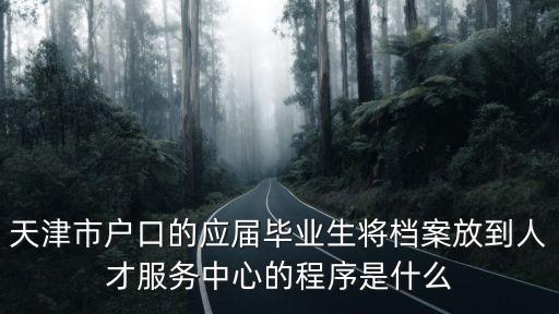 天津市戶口檔案放到人才服務(wù)中心，天津市把個(gè)人檔案轉(zhuǎn)到人才流動(dòng)服務(wù)中心都需要什么手續(xù)