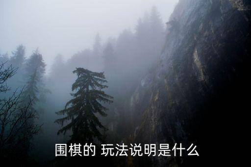  圍棋的 玩法說明是什么