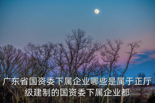 廣東省國資委下屬企業哪些是屬于正廳級建制的國資委下屬企業都