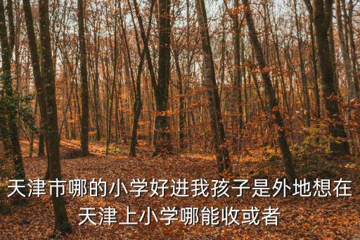 天津市哪的小學(xué)好進(jìn)我孩子是外地想在天津上小學(xué)哪能收或者