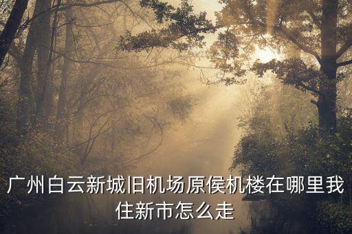 廣州白云新城舊機場原侯機樓在哪里我住新市怎么走
